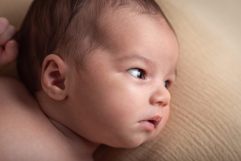 Séance photo naissance fille photographe David Plichon à Armentières
