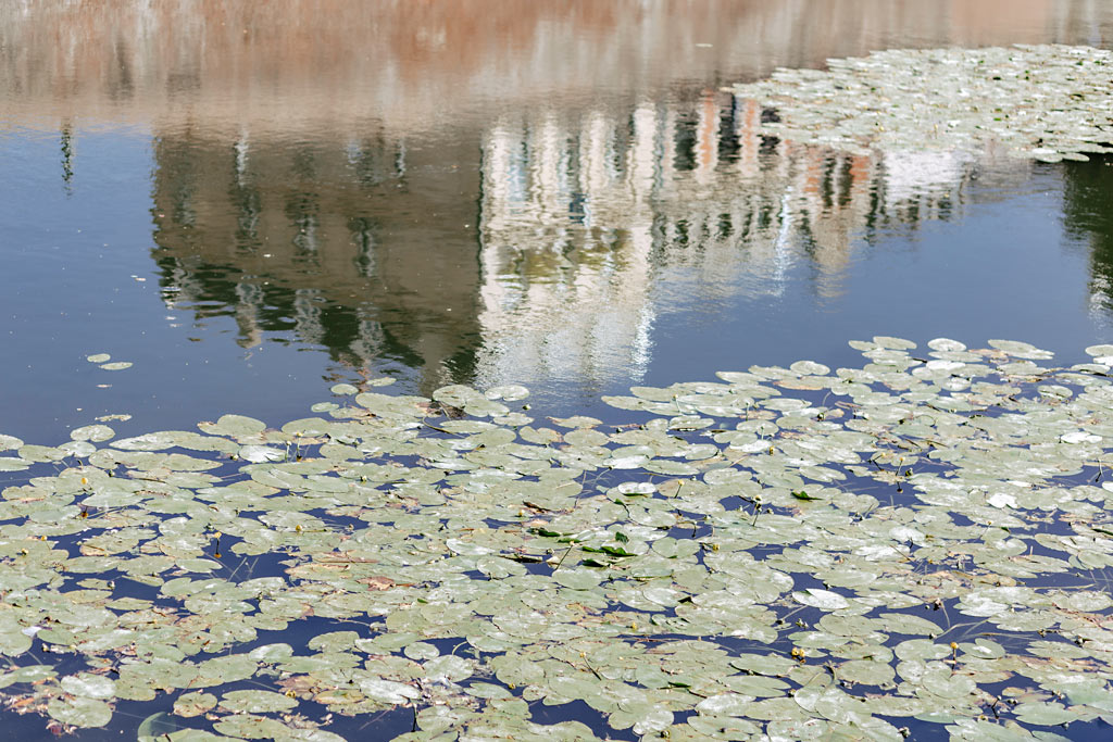 mariage-peniche-lille-56 mariage peniche lille 56